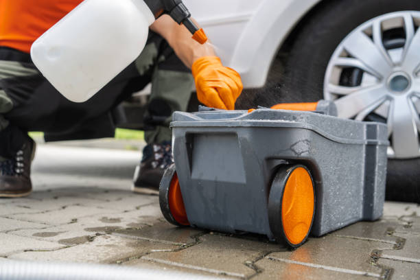 How Our Tree Care Process Works  in  Suitland, MD